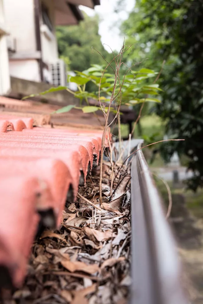Contact our team for affordable gutter cleaning services