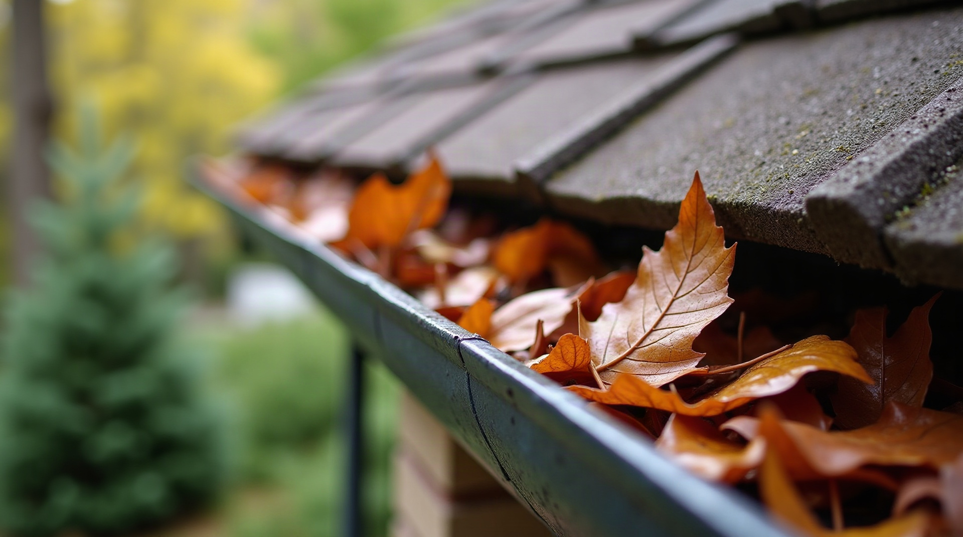 Clogged gutter on a residential home in Bucks County