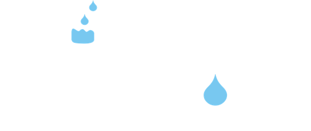 Gutter Solutions